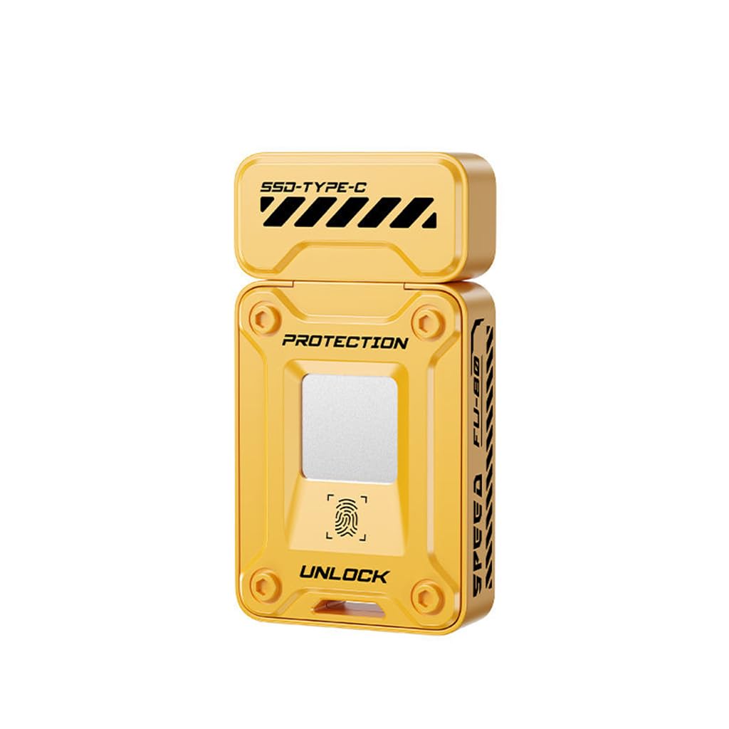 Aget Fu80 Fingerprint Lock SSD Flash Drive