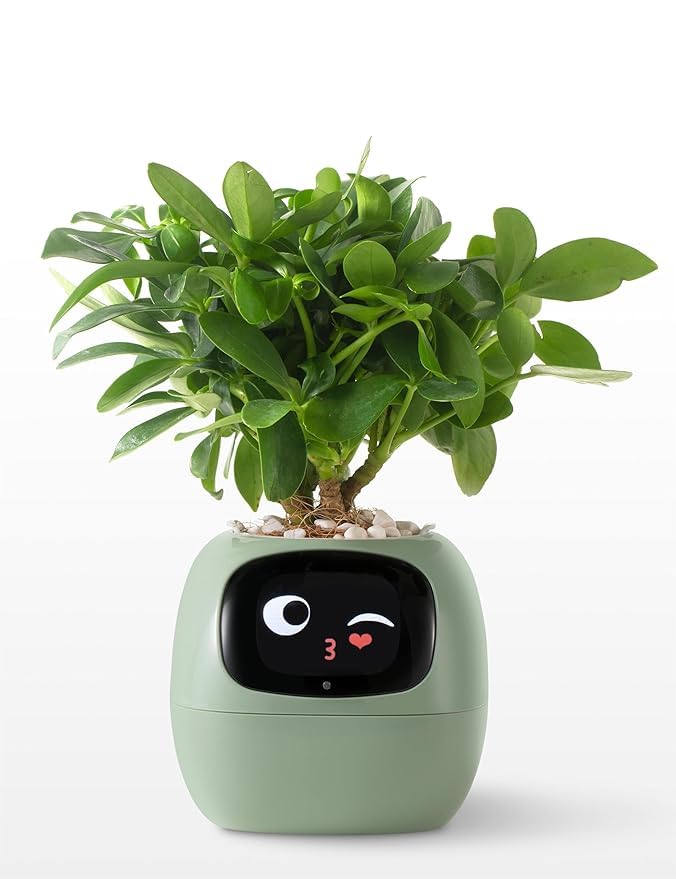 Ivy Smart Plant Pet